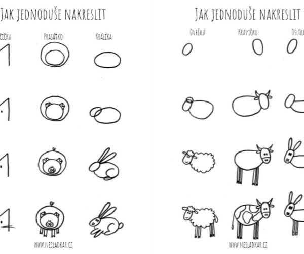 Jak nakreslit zvíře. Na obrázku je ukázka návodu na nakreslení prasete, králíka, kočky, ovce, krávy a osla.