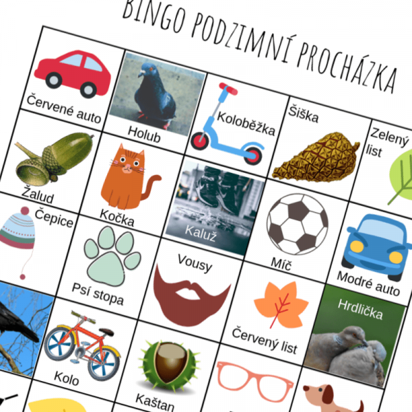 Ukázka hry Bingo podzimní procházka