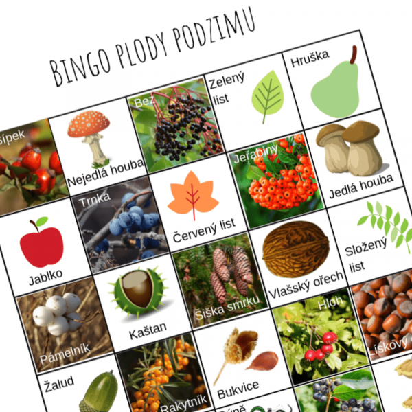 Ukázka zábavné hry Bingo plody podzimu
