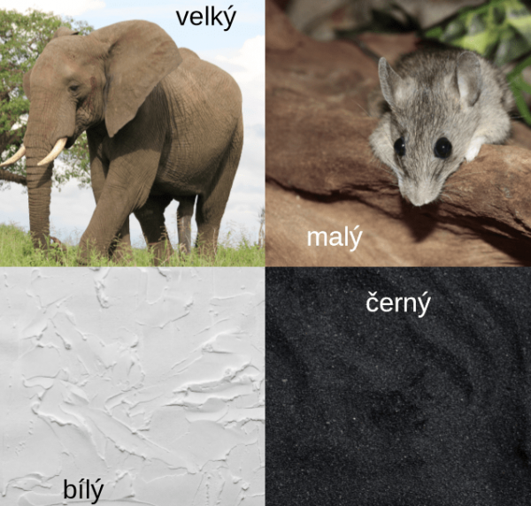 opaky s popisky - malý, velký, černý, bílý