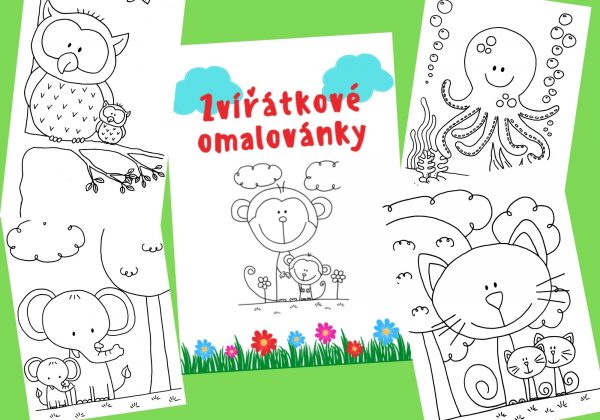 zvířátkové, zvířátko, zvíře, omalovánky, omalovat, vymalovat, malovat, kreslit, barva, barvy, barvičky, černobílé, černobílá