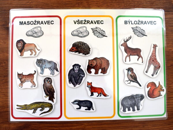 Masožravec, všežravec, býložravec