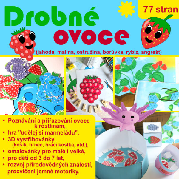 drobné ovoce